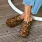 CLOG NAMIBIE CLOG NAMIBIE