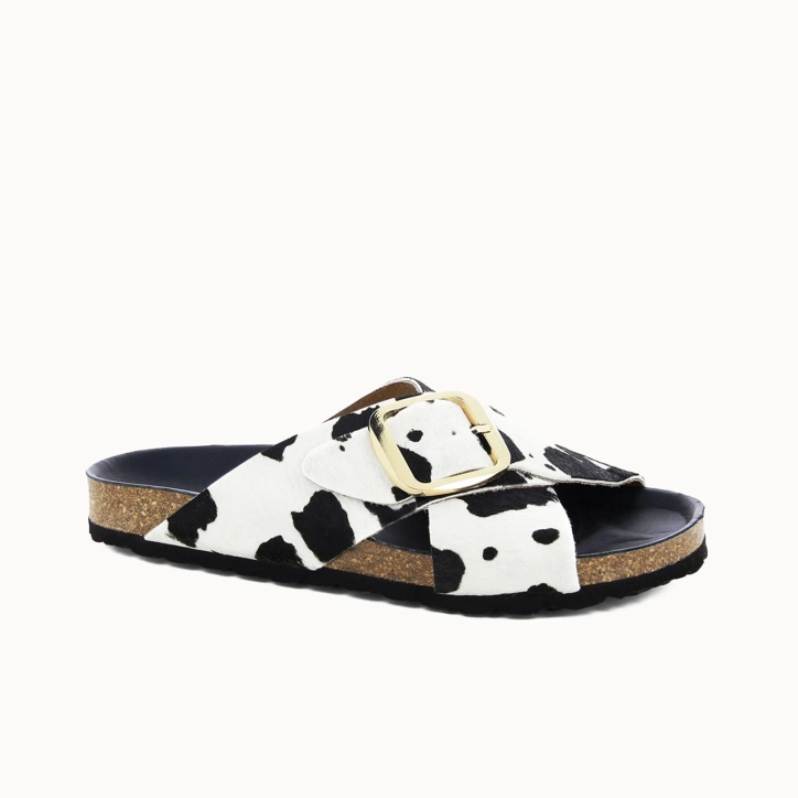 MULE BETSIE Cow
