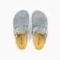 CLOG NELA