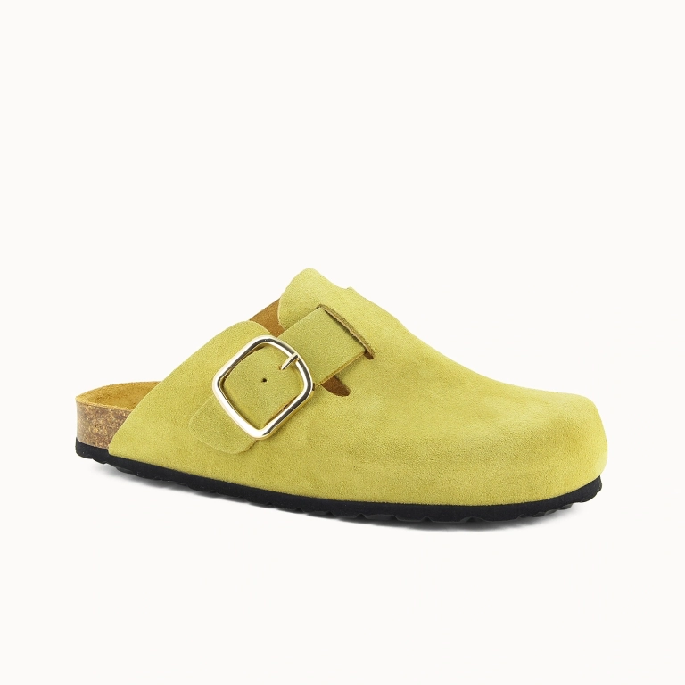 CLOG NELA Curry