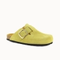 CLOG NELA
